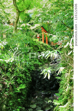 Located along the Kibune River, the source of the Kamo River in Kyoto... The sacred water of matchmaking [Kifune Shrine] 128122606