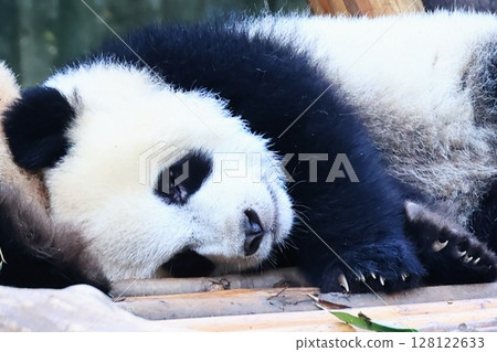 在午睡期間 在午睡期間 128122633