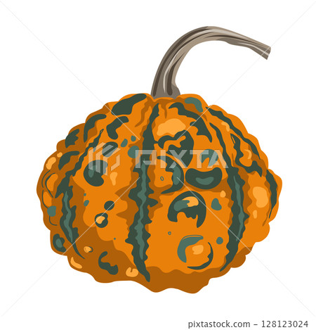 Funny small decorative pimpled pumpkin illustration isolated on white. Pimply and warty gourd vector drawing 128123024