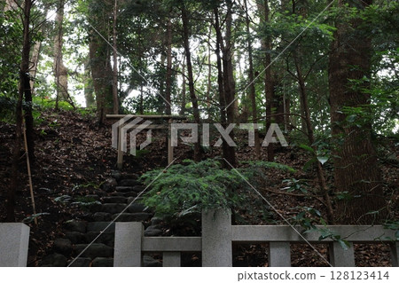 寒川神社夏季 128123414