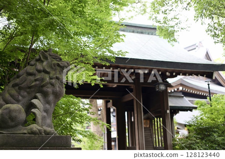 Samukawa Shrine: Guardian lions surrounded by fresh greenery 128123440
