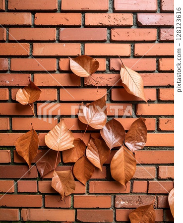 陶土磚牆上濕落葉的真實質感 128123616