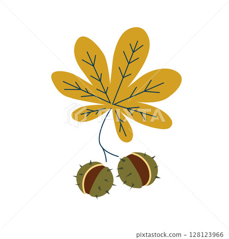 Horse chestnut fruits with yellow leaves on a branch. Stylized vector illustration in flat style. Botanical autumn illustration for autumn decor, packaging or botanical patterns. Horse chestnut fruits with yellow leaves on a branch. Stylized vector illustration in flat style. Botanical autumn illustration for autumn decor, packaging or botanical patterns. 128123966