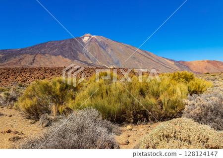 View of Teide volcano in Teide National Park, Tenerife island, Canary islands, Spain View of Teide volcano in Teide National Park, Tenerife island, Canary islands, Spain 128124147