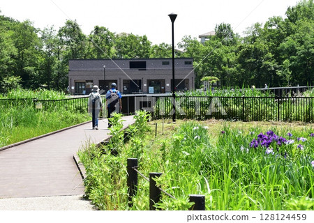 Walking paths and iris garden at Endo Sasakuboya Park, Fujisawa City, Kanagawa Prefecture 128124459