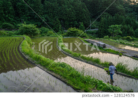 梯田風景:戶岳寺的梯田 梯田風景:戶岳寺的梯田 128124576