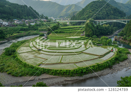 Scenery of rice terraces, Aragi Island, Aridagawa Town, Wakayama Prefecture 128124789