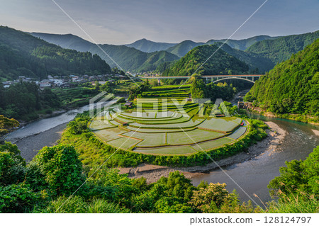 Scenery of rice terraces, Aragi Island, Aridagawa Town, Wakayama Prefecture 128124797