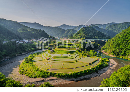 Scenery of rice terraces, Aragi Island, Aridagawa Town, Wakayama Prefecture 128124803