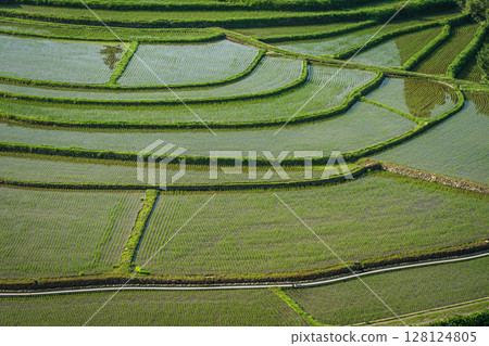 和歌山縣有田川町荒木島梯田風景 和歌山縣有田川町荒木島梯田風景 128124805