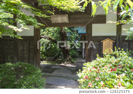 Takaomon Gate of Zuihoji Temple in Sendai, Miyagi Prefecture 128125375