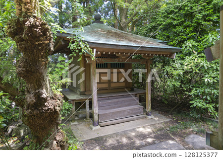 宮城縣仙台市瑞寶寺 128125377
