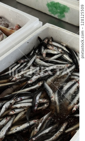 Close-up of freshly caught sardines displayed on ice in a white crate, perfect for seafood, culinary, and local market visuals. 128125509