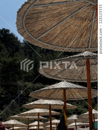 Traditional straw umbrellas casting shadows in a row on a sunny beach, perfect for summer, vacation, or Mediterranean resort themes. 128125555
