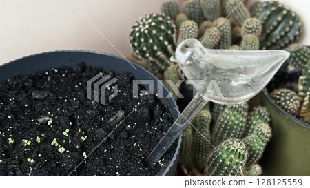A pot filled with soil and a decorative metal bird beside cacti, ideal for planting, indoor gardening, or hobby visuals. A pot filled with soil and a decorative metal bird beside cacti, ideal for planting, indoor gardening, or hobby visuals. 128125559
