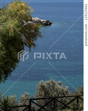Crystal clear blue sea with trees in the foreground and a rocky islet in the distance perfect for tropical and coastal visuals. Crystal clear blue sea with trees in the foreground and a rocky islet in the distance perfect for tropical and coastal visuals. 128125662