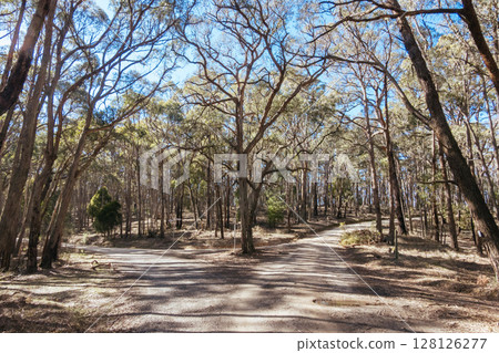Djuwang Baring Mountain Bike Park in Creswick Australia 128126277