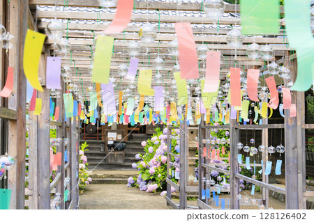 Toko-in Temple with hydrangeas in full bloom - Wind chime festival Toko-in Temple with hydrangeas in full bloom - Wind chime festival 128126402