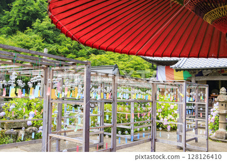 Toko-in Temple with hydrangeas in full bloom - Wind chime festival 128126410