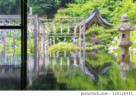 紫陽花盛開的東光院－風鈴節 128126415