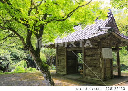 Toko-in Temple with hydrangeas in full bloom - Wind chime festival Toko-in Temple with hydrangeas in full bloom - Wind chime festival 128126420