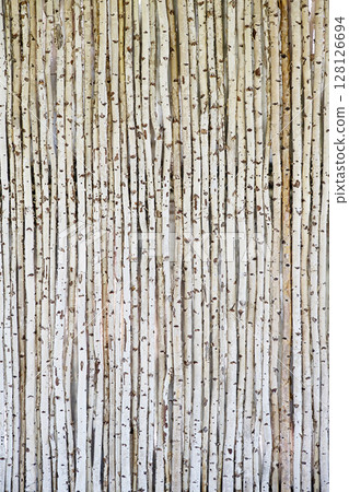 White birch logs used as rustic wall covering, creating a natural wood texture pattern. 128126694