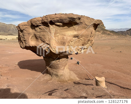 Stone mushroom in Timna Park in the Arava desert Stone mushroom in Timna Park in the Arava desert 128127176