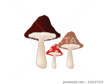 Illustration of big and small mushrooms 128127231