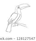 black bird on white background 128127547