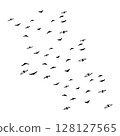 vector silhouettes of birds flying birds 128127565