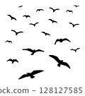 silhouettes of birds silhouettes 128127585