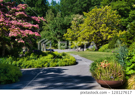 穿過植物園的小路,範杜森植物園,溫哥華,加拿大 穿過植物園的小路,範杜森植物園,溫哥華,加拿大 128127617
