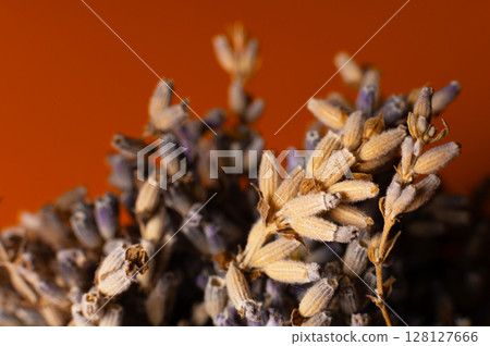 Lavender flowers close up. Banner for lavender essential oil advertisement with dried flowers and lavender seeds, close up aromatherapy spa massage concept 128127666