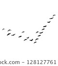 black and white flock of seagulls 128127761