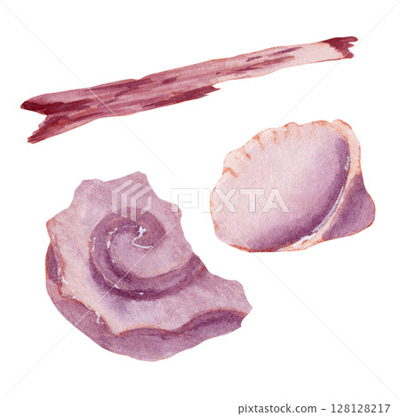 Watercolor set of light purple seashell and brunch from shore  128128217