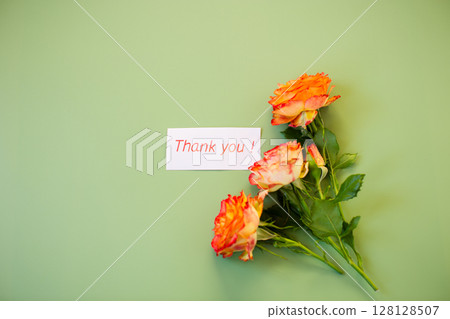 Bright rosebud with delicate petals on pastel green background 128128507