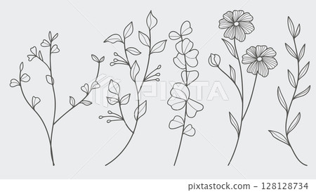 Hand Drawn Twigs with Leaves in a Botanical collection.Vector illustration Hand Drawn Twigs with Leaves in a Botanical collection.Vector illustration 128128734
