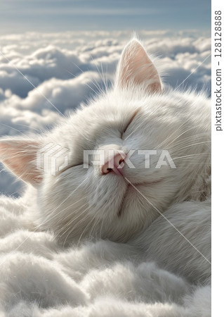 Tranquil pale kitty curled up in the heavens 128128888