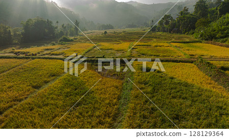 Aerial View of Misty Farmlands 128129364