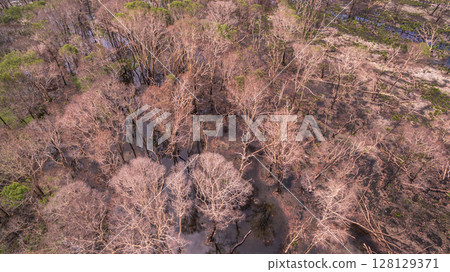Aerial view of Burnt Swamp After Wildfire Aerial view of Burnt Swamp After Wildfire 128129371