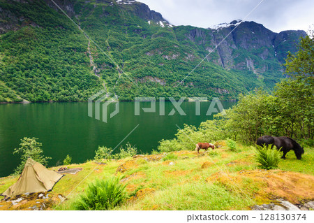 Mountains landscape and fjord in Norway 128130374
