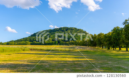 Rip Mountain rises majestically in Czechia, surrounded by lush greenery and a vast field under a bright blue sky, creating a stunning landscape ideal for outdoor activities. 128130560