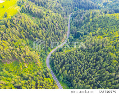 A serpentine asphalt road meanders through a vibrant green forest valley, framed by tall trees under a clear sky. Nature thrives in this serene landscape. 128130579