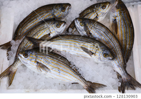 Freshly caught Sarpa salpa also called dreamfish, salema, salema porgy, cow bream or goldline, from a species of sea bream in the box on the counter at the greek fish market. Horizontal. From above.  128130903