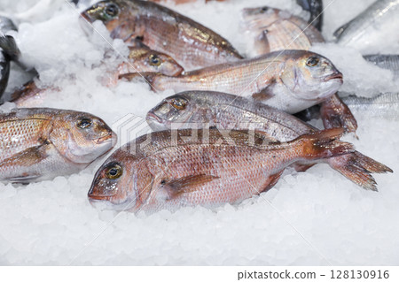 Freshly caught Porgy or Pagrus pagrus, seabream fishes on ice in Greek fish market. Horizontal.  128130916