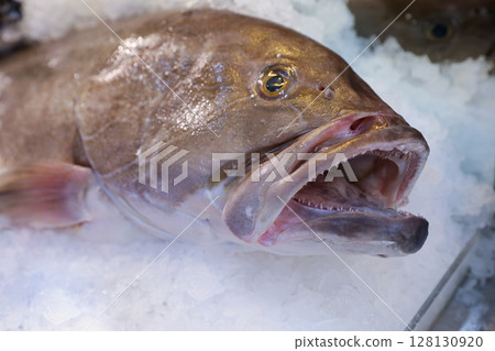 Dusky grouper or Epinephelus marginatus or Sfirida fish on ice attract customers seeking quality and freshness for their meals in Greek fish market. Dusky grouper or Epinephelus marginatus or Sfirida fish on ice attract customers seeking quality and freshness for their meals in Greek fish market. 128130920
