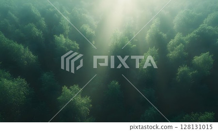 Aerial view of sunlit green forest canopy nature background 128131015