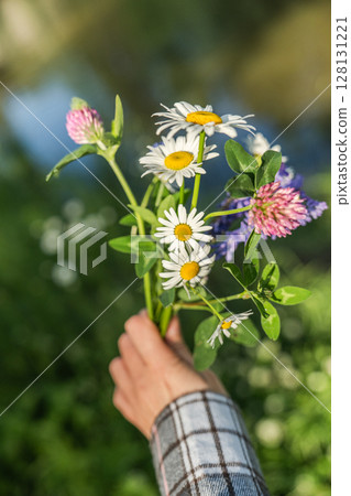 A hand is gently holding a beautiful wildflower bouquet amidst the serenity of nature A hand is gently holding a beautiful wildflower bouquet amidst the serenity of nature 128131221