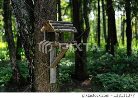 A Charming Wooden Birdhouse Beautifully Nestled Amongst Lush and Vibrant Forest Foliage 128131377