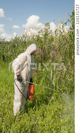 A man in a protective suit processes reeds using a poison sprayer. Weed killer. Destruction of grass, weed control A man in a protective suit processes reeds using a poison sprayer. Weed killer. Destruction of grass, weed control 128131727